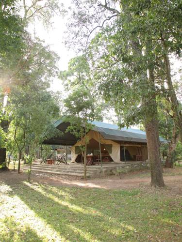 Governors' Ilmoran Camp Masai Mara Kenya Last Minute Hotel Booking.com