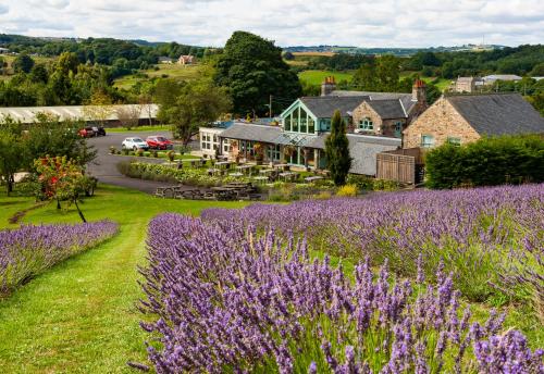 Tanfield United Kingdom Last Minute Hotel Agoda.com