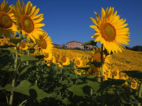 Monteroni d'Arbia Italy Last Minute Hotel Booking.com