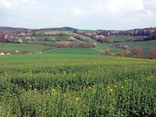 Alheim-Obergude Germany Last Minute Hotel Booking.com