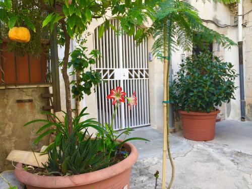 Syracuse Italy Last Minute Hotel Agoda.com