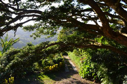 Cebadilla Costa Rica Last Minute Hotel Booking.com