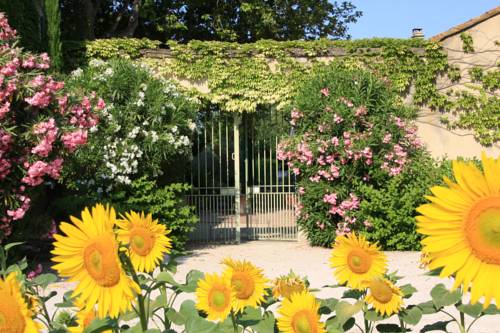 Monteux France Last Minute Hotel Booking.com