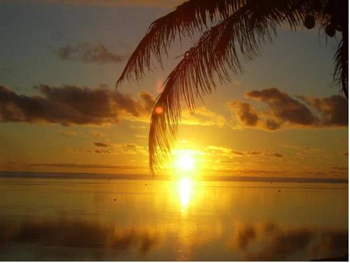 Korolevu Fiji Last Minute Hotel Booking.com