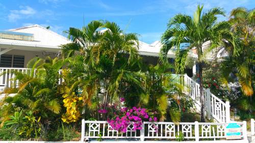 Sainte-Anne Martinique Last Minute Hotel Booking.com