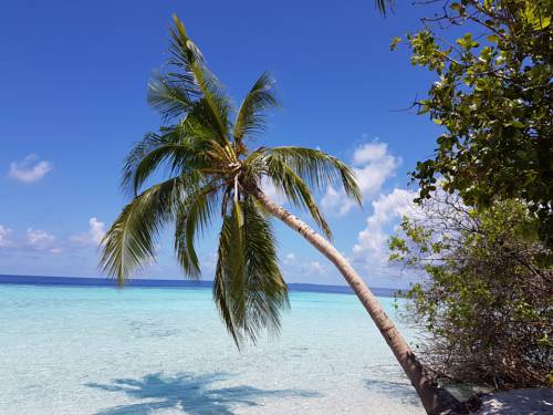 Ukulhas Maldives Last Minute Hotel Booking.com