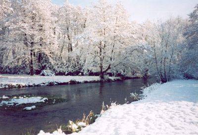 Sandleheath United Kingdom Last Minute Hotel Booking.com