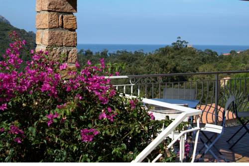 Porto France Last Minute Hotel Booking.com