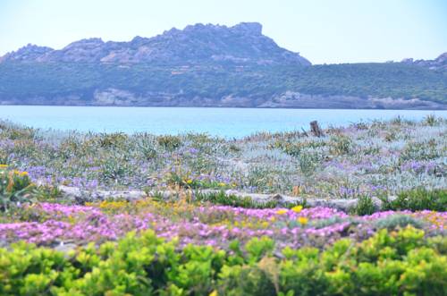 Santa Teresa Gallura Italy Last Minute Hotel Booking.com