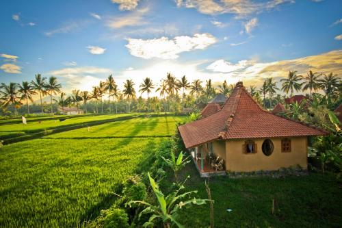 Bali Indonesia Last Minute Hotel Agoda.com