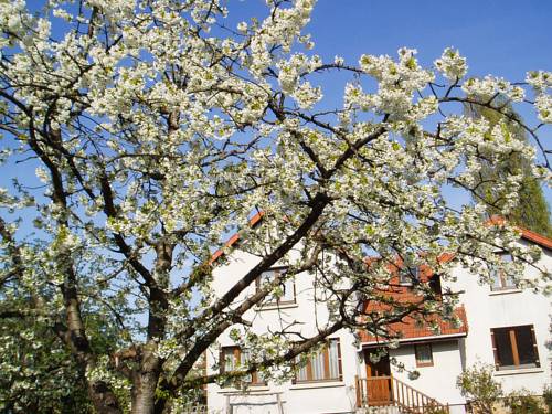 Draveil France Last Minute Hotel Booking.com