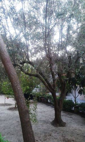 Spartia Greece Last Minute Hotel Booking.com
