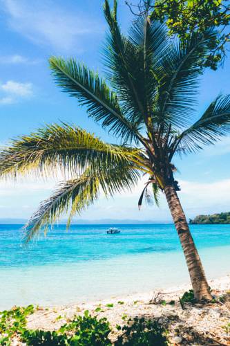 Korolevu Fiji Last Minute Hotel Booking.com