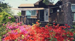 Taean-gun South Korea Last Minute Hotel Agoda.com